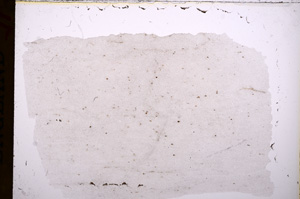 Plane Polarized, E17466