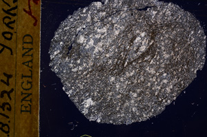 Cross Polarized, E17471