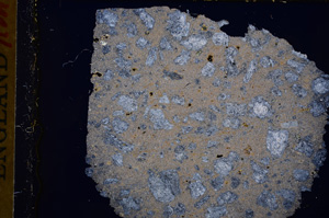 Cross Polarized, E17483