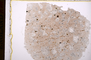 Plane Polarized, E17483