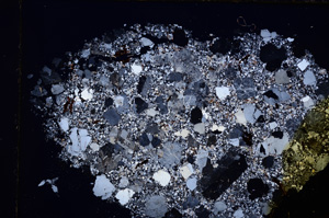 Cross Polarized, E17484