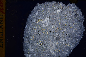 Cross Polarized, E17485