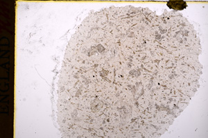 Plane Polarized, E17485