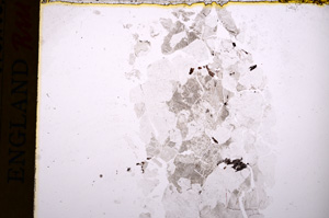 Plane Polarized, E17486