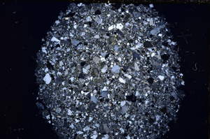 Cross Polarized, E17487