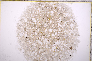 Plane Polarized, E17487