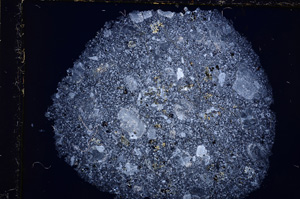 Cross Polarized, E17488