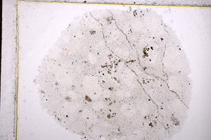 Plane Polarized, E17488