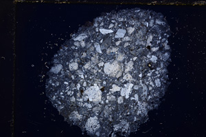 Cross Polarized, E17490