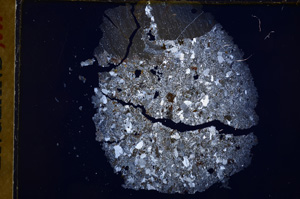 Cross Polarized, E17491