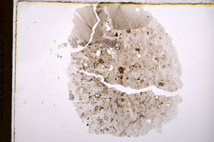 Plane Polarized, E17491