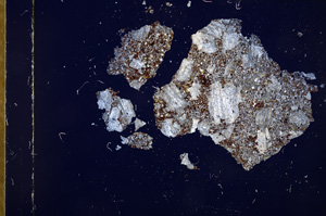 Cross Polarized, E17492