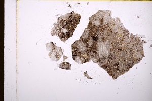 Plane Polarized, E17492