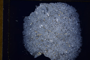 Cross Polarized, E17493