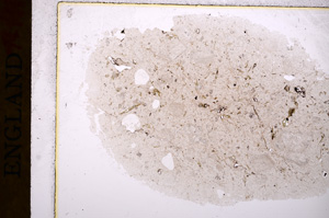 Plane Polarized, E17494