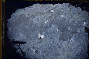 Cross Polarized, E17495