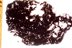 Plane Polarized, E17496