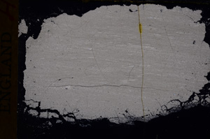 Cross Polarized, E17504