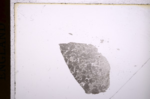 Plane Polarized, E17523