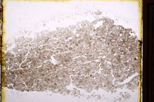 Plane Polarized, E17529