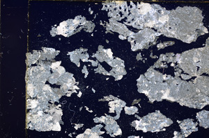 Cross Polarized, E17537