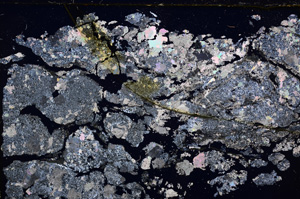 Cross Polarized, E17537/A