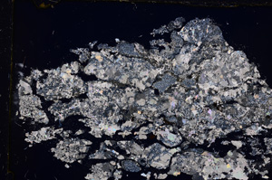 Cross Polarized, E17538