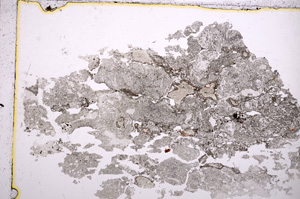 Plane Polarized, E17538