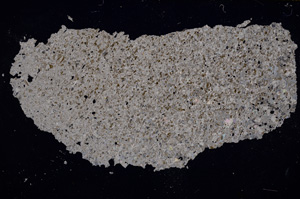 Cross Polarized, E17539