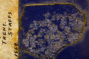 Cross Polarized, E17543/B
