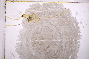 Plane Polarized, E17549