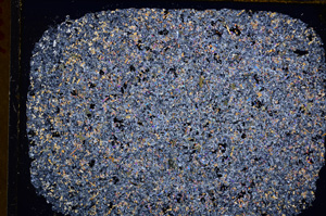 Cross Polarized, E17550