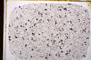 Plane Polarized, E17550