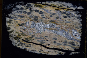 Cross Polarized, E17558