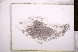 Plane Polarized, E17562