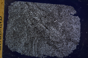 Cross Polarized, E17571