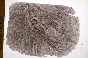 Plane Polarized, E17571