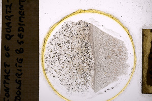 Plane Polarized, E17572