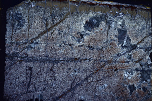 Cross Polarized, E17596