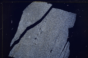 Cross Polarized, E17603