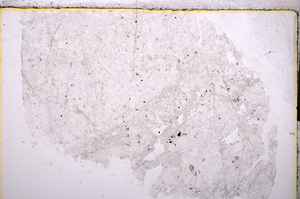 Plane Polarized, E17612