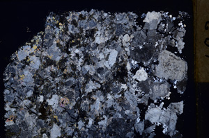 Cross Polarized, E17613