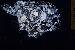 Cross Polarized, E17614