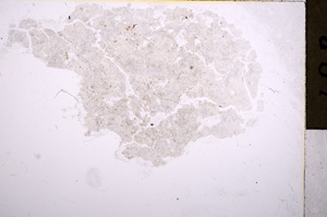 Plane Polarized, E17614