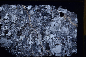 Cross Polarized, E17615