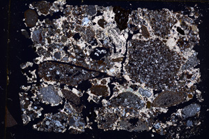 Cross Polarized, E17629