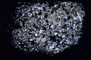 Cross Polarized, E17631