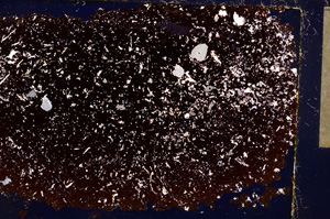 Cross Polarized, E17632