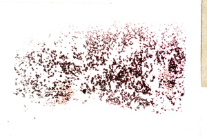 Plane Polarized, E17645