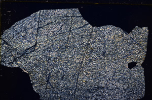Cross Polarized, E17648